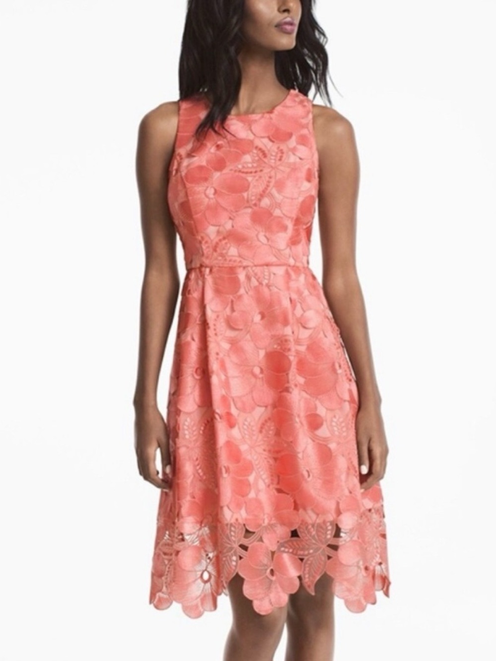 WHITE HOUSE BLACK MARKET floral lace dress-size 6 NWT